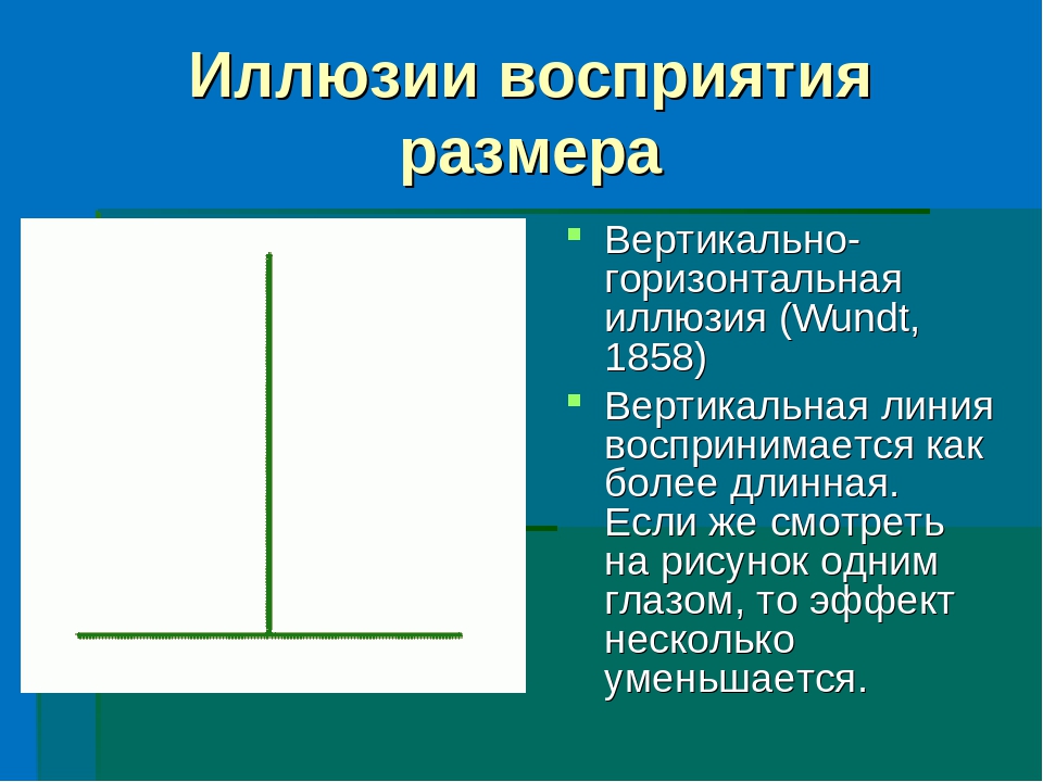 Размер является. Вертикально-горизонтальная иллюзия. Горизонтально вертикальная иллюзия. Иллюзии восприятия линии вертикальные и горизонтальные. Вертикальная линия и горизонтальная линия.