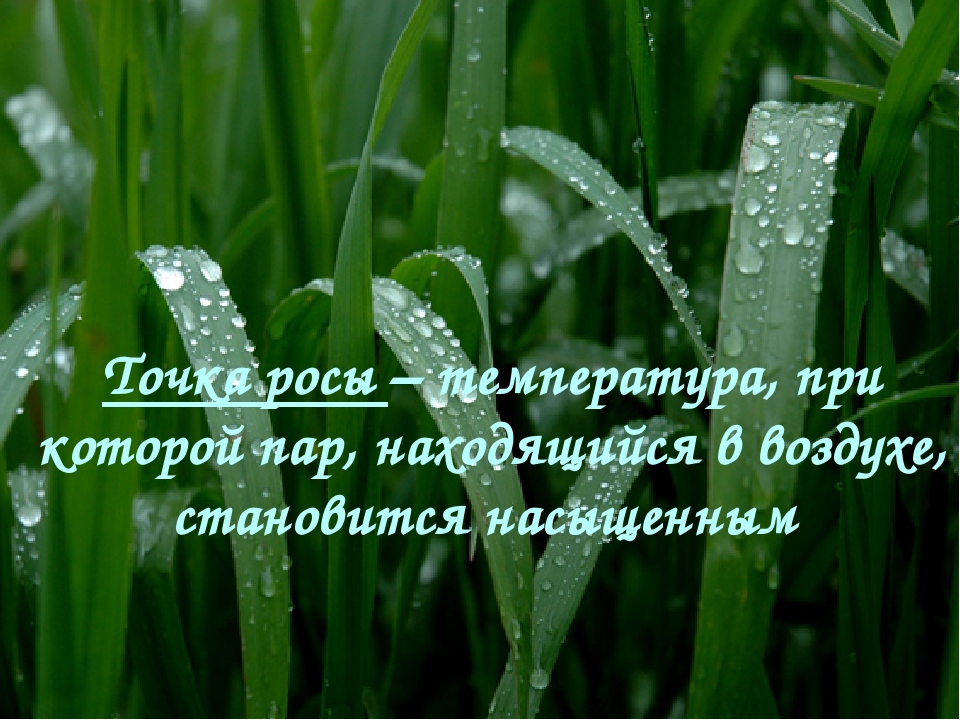 Влажность росы. Точка росы. Роса влажность. Точка росы физика. Точка росы это в физике.