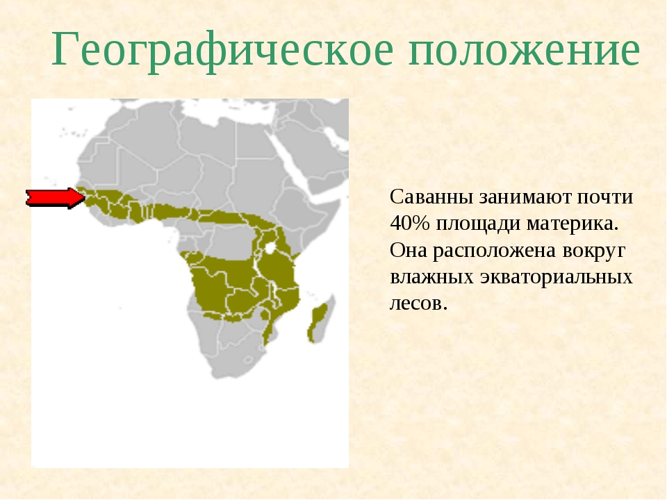 Территориальное положение. Географическое положение саванны в Африке. Саванны и редколесья Африки на карте. Зона саванн и редколесий в Африке на карте. Саванны Южной Америки географическое положение карта.